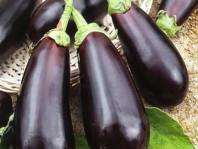 Баклажан Алмаз