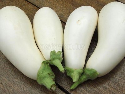 Баклажан Белая лилия