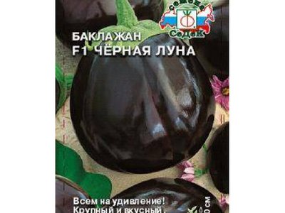 Чёрная луна