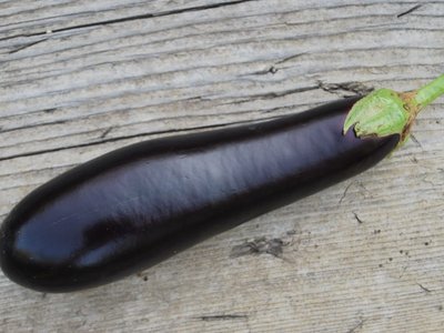 Баклажан Чёрный красавец