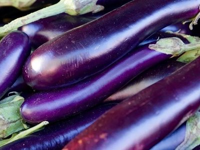 Длинный фиолетовый