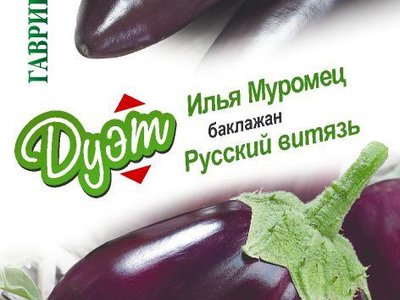 Баклажан Илья Муромец