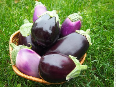 Баклажан Клоринда F1