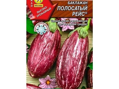 Полосатый рейс