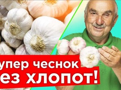 Комсомолец