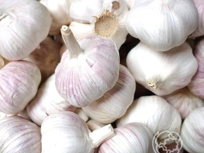 Петровский