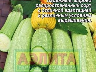 Грибовский 37