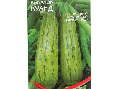 Куанд