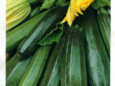 Кабачок Цукеша