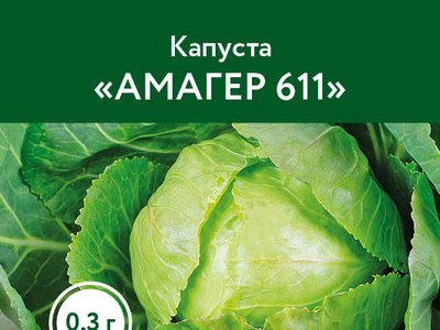 Капуста Амагер 611