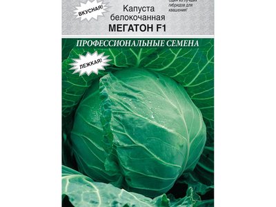 Капуста Мегатон F1
