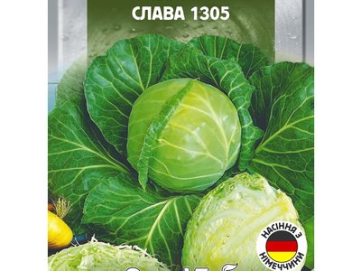 Капуста Слава 1305