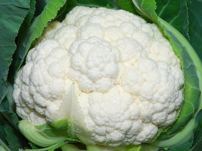 Снежный шар