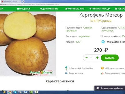 Метеор