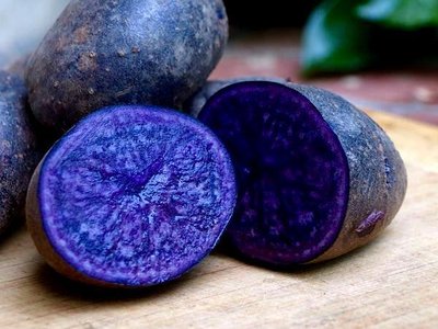 Картофель Вителот