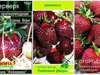 Фейерверк