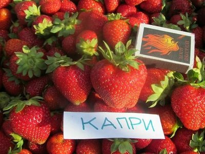 Капри