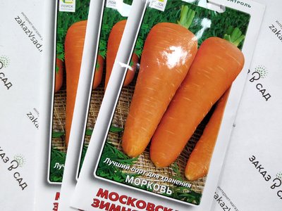 Морковь Московская зимняя А-515