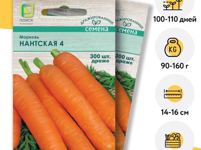 Морковь Нантская 4