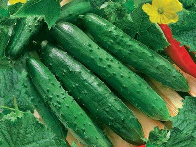 Огурец Апрельский F1