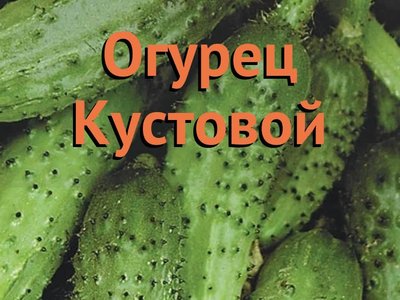 Хрустящий