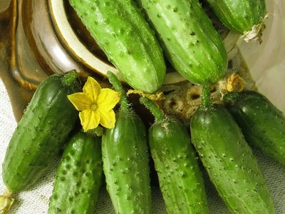 Огурец Парижский корнишон F1