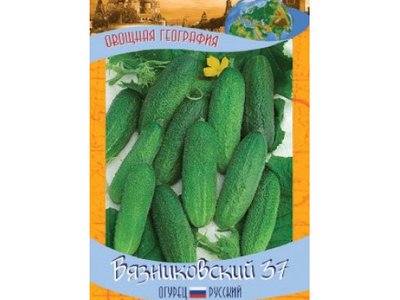 Огурец Вязниковский 37