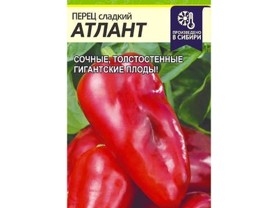 Перец Атлант