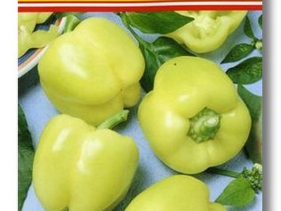 Перец Белладонна F1