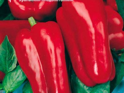 Перец Денис F1