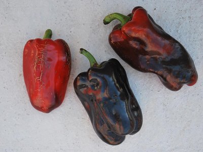 Перец Фараон F1