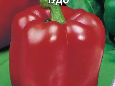 Калифорнийское чудо