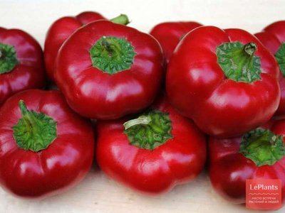 Перец Колобок