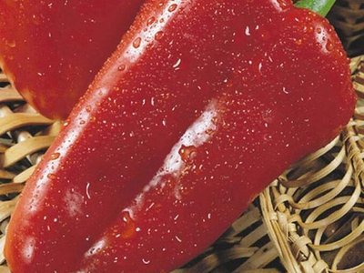 Перец Пик НК 2000