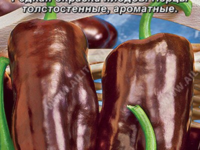 Шоколадный красавец