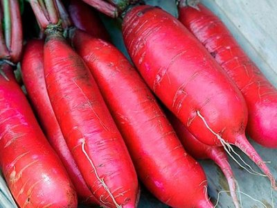 Красный великан