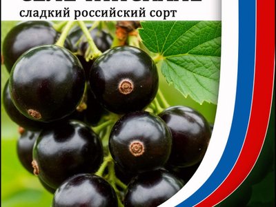 Селечинская 2