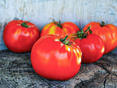 Томат Бабушкин секрет
