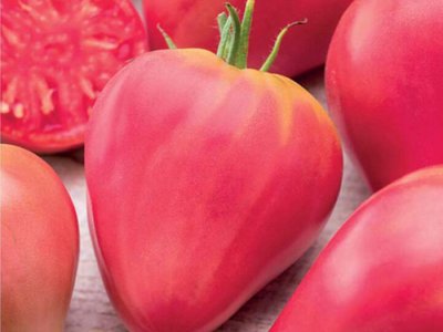 Томат Бычье сердце розовое
