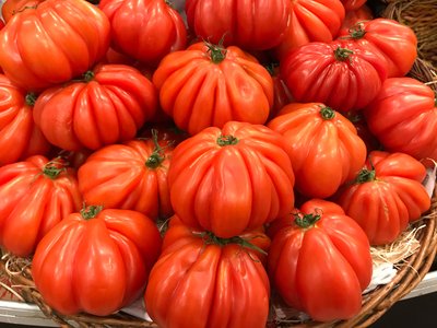 Томат Бычье сердце