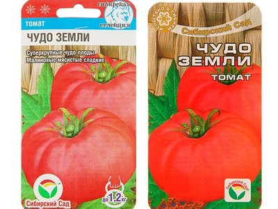 Томат Чудо земли