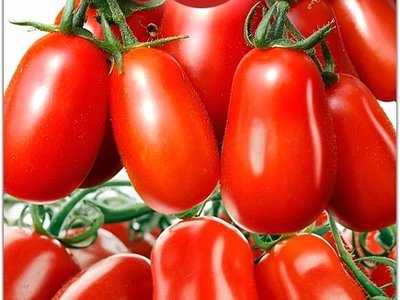 Дамские пальчики