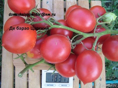 Томат Де Барао красный