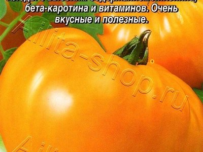 Томат Король Сибири