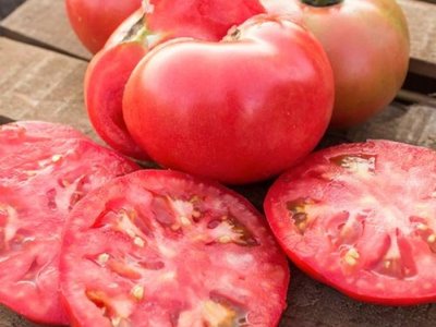 Микадо розовый