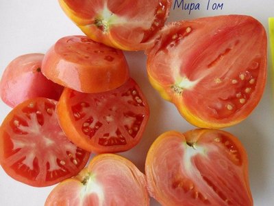 Томат Орлиное сердце