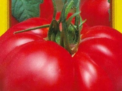 Томат Шапка Мономаха