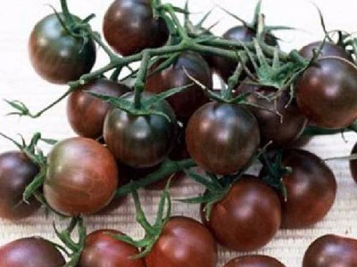 Вишенка чёрная