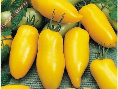 Томат Жёлтый банан