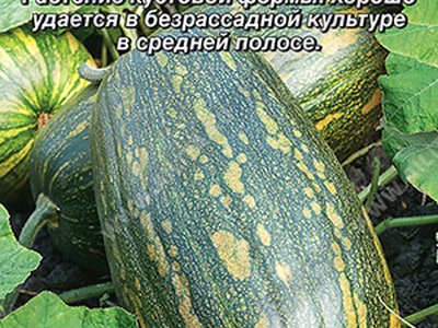 Грибовская кустовая